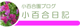 小百合園ブログ　小百合日記