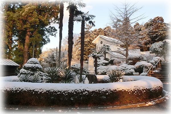 社会福祉法人 善き牧者会　児童養護施設小百合園